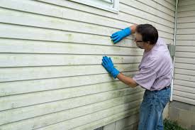 Best Custom Trim and Detailing for Siding  in Justin, TX